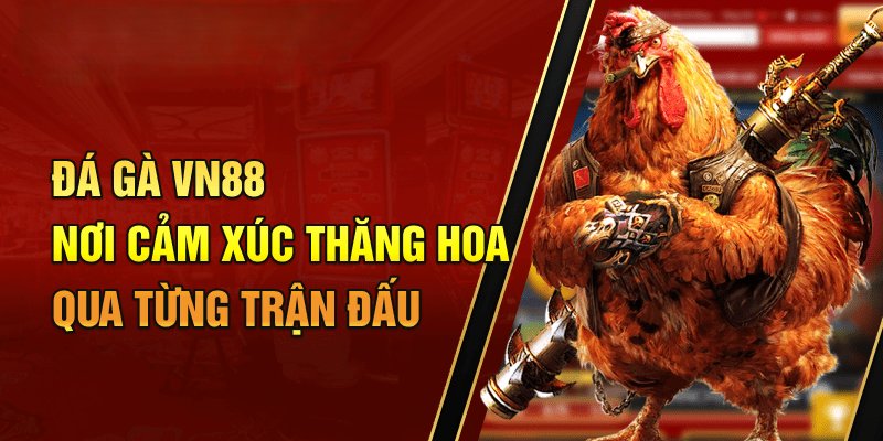 Giới thiệu sơ bộ về đá gà VN88