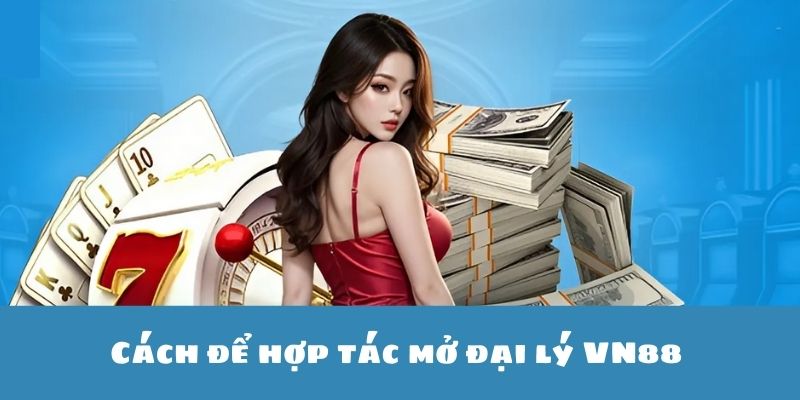 Quy trình các bước hợp tác mở đại lý với nhà cái VN88