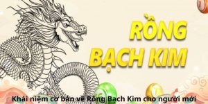 Khái niệm cơ bản về Rồng Bạch Kim cho người mới