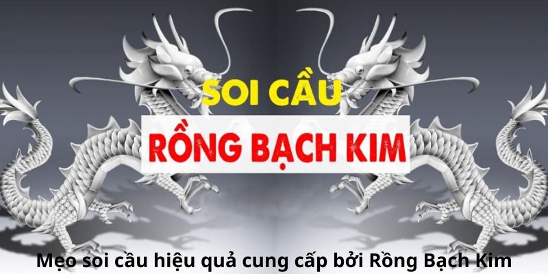 Mẹo soi cầu hiệu quả cung cấp bởi Rồng Bạch Kim